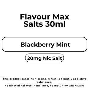Flavour Max Salts 20mg Blackberry Mint